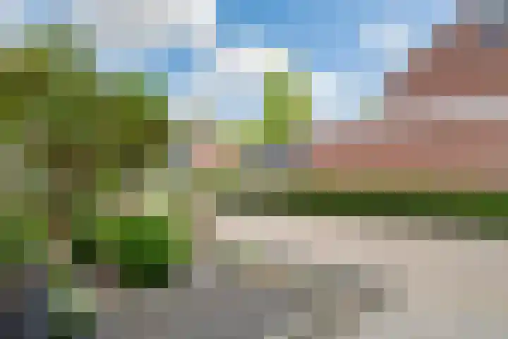 Zuidlaarderbrink 185 Emmen thumbnail 5