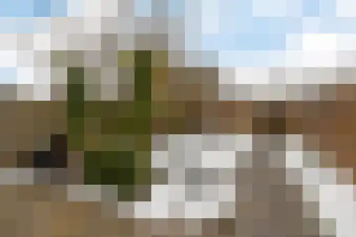 Zuidlaarderbrink 49 Emmen thumbnail 29