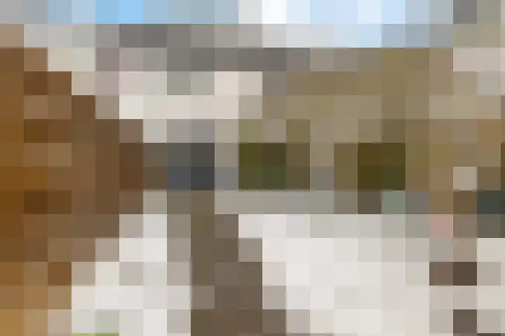 Zuidlaarderbrink 49 Emmen thumbnail 31