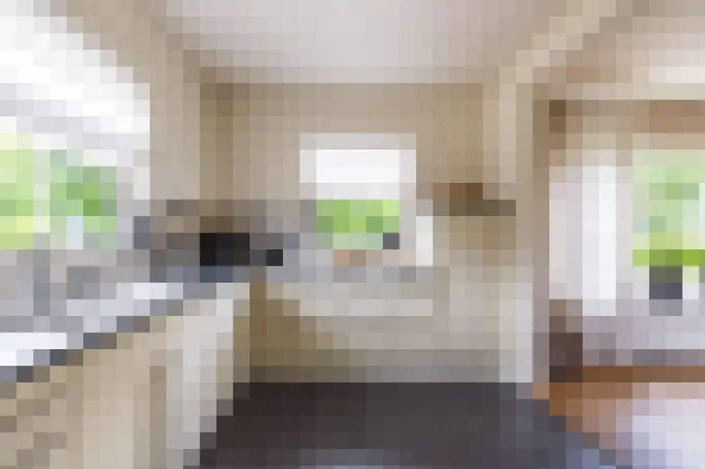 Zuidlaarderweg 15 Tynaarlo thumbnail 18