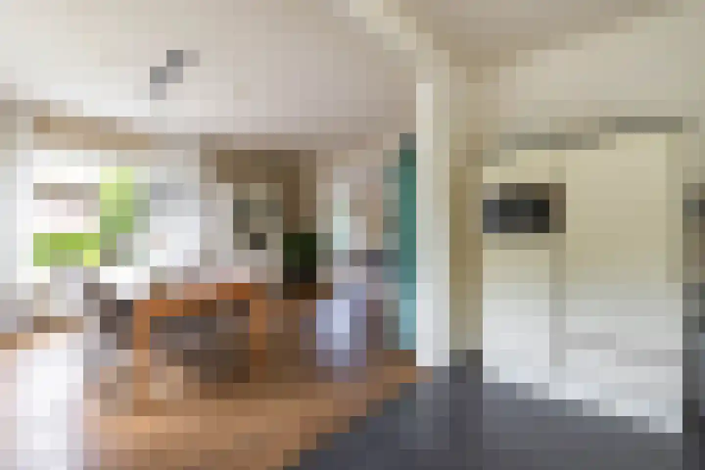 Zuidlaarderweg 15 Tynaarlo thumbnail 19