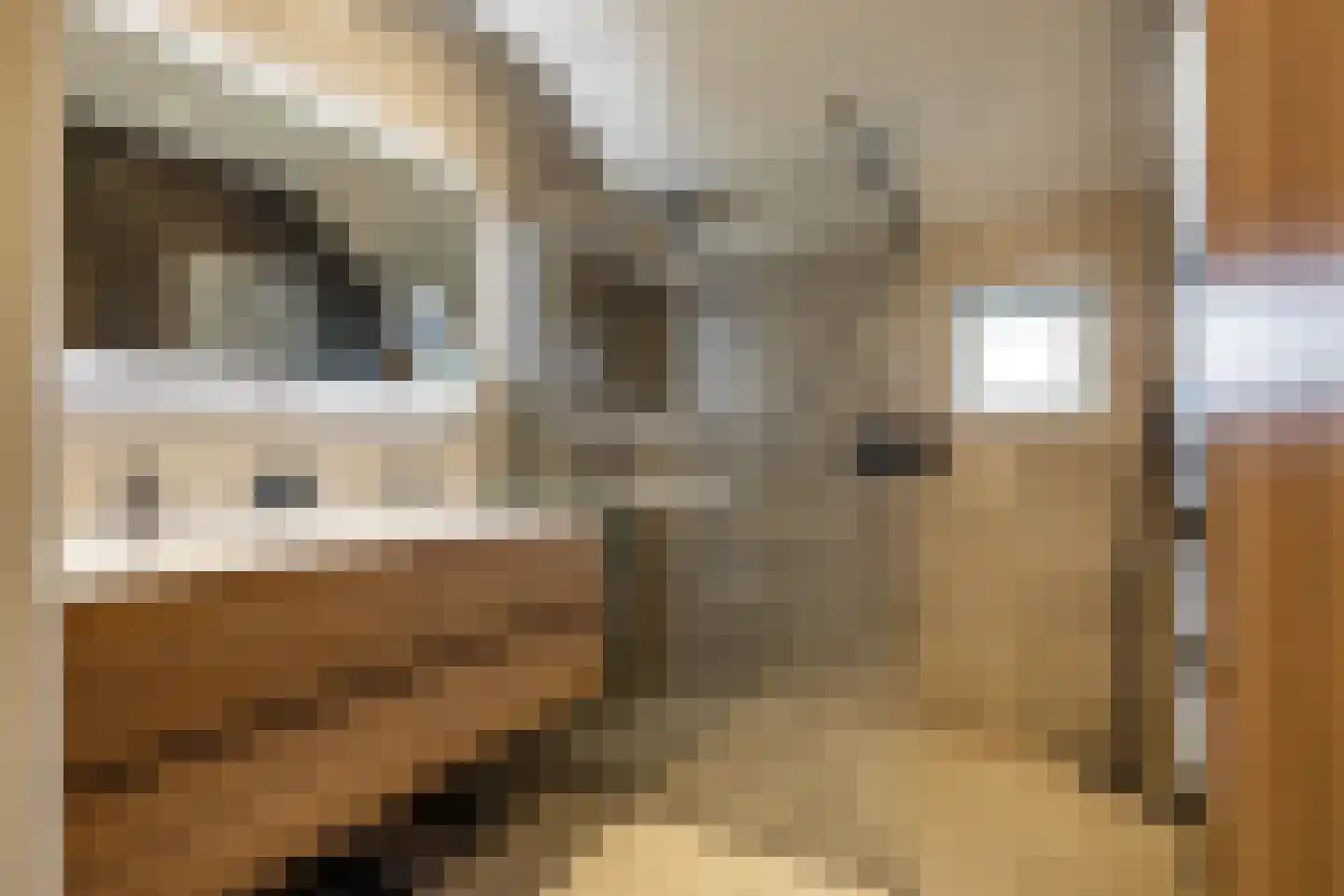Zuidlaarderweg 15 Tynaarlo thumbnail 24