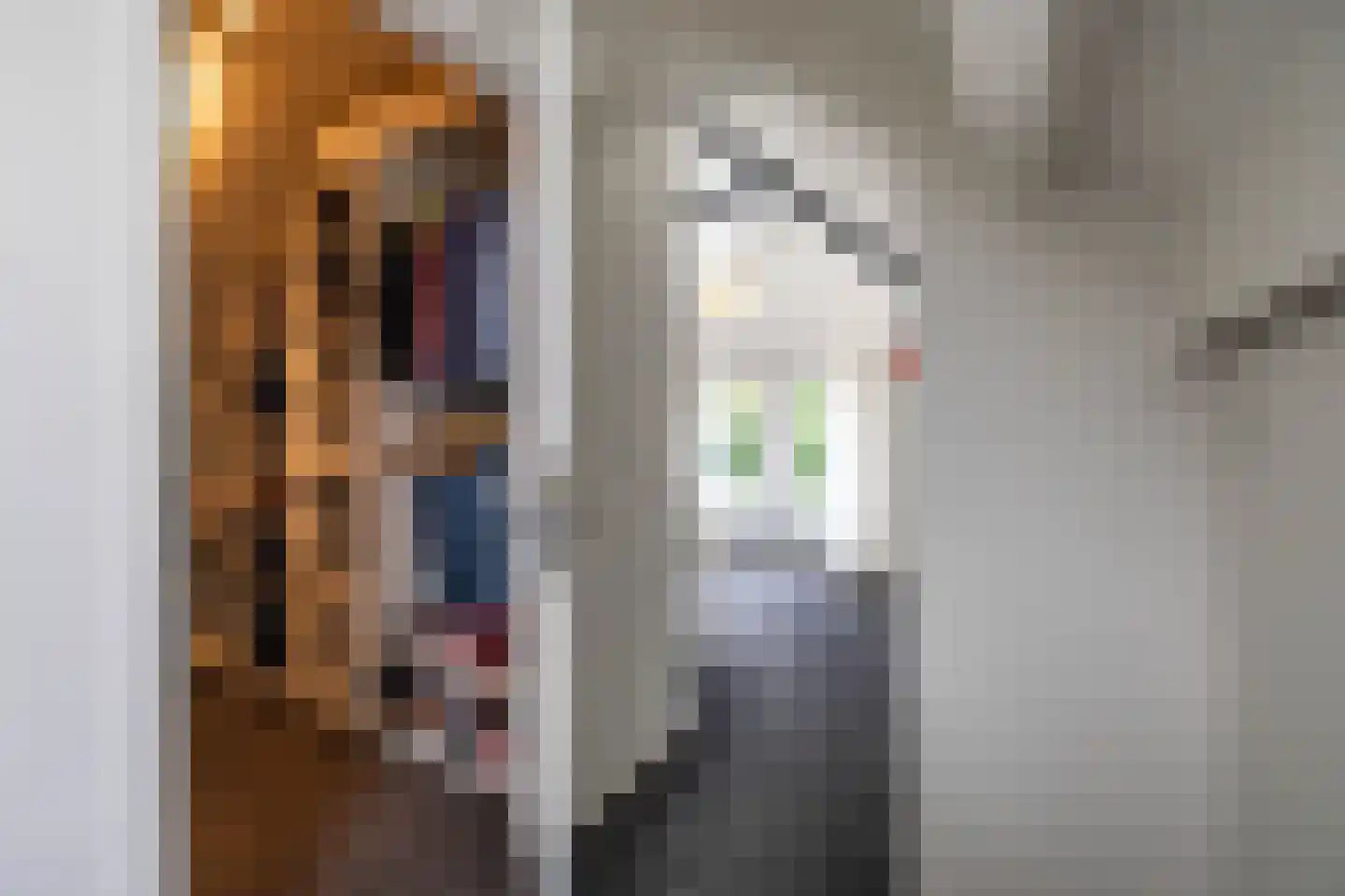 Zuidlaarderweg 15 Tynaarlo thumbnail 32