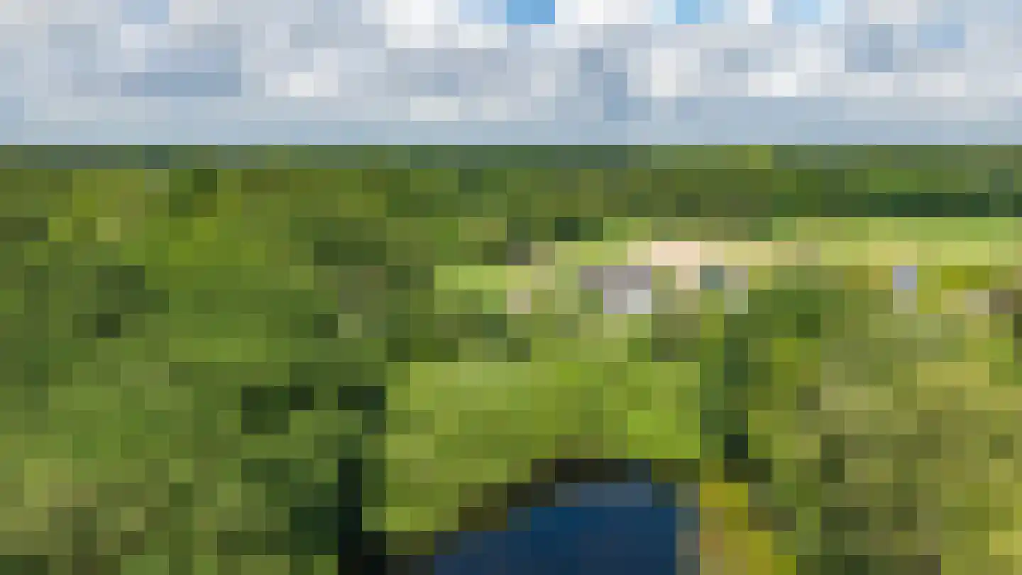 Zuidlaarderweg 15 Tynaarlo thumbnail 4