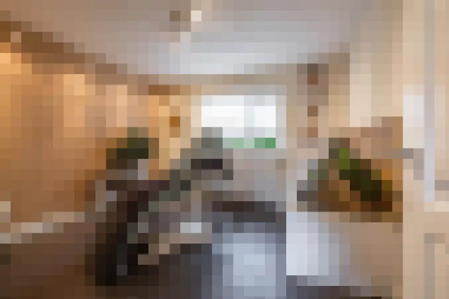 Zuidlaarderweg 15 Tynaarlo thumbnail 46