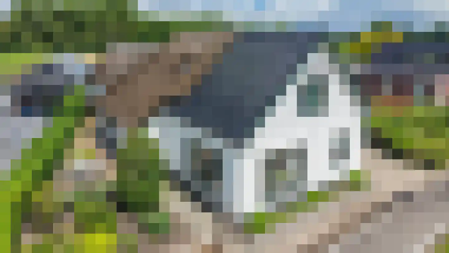 Zuidlaarderweg 15 Tynaarlo thumbnail 5