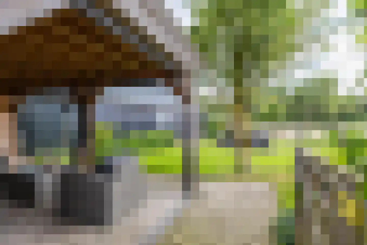 Zuidlaarderweg 15 Tynaarlo thumbnail 57