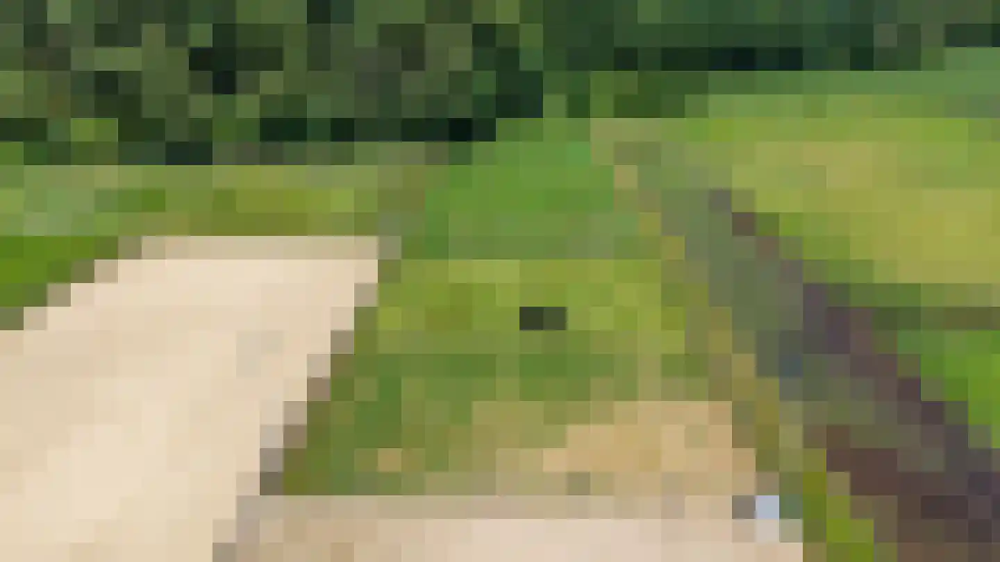 Zuidlaarderweg 15 Tynaarlo thumbnail 66