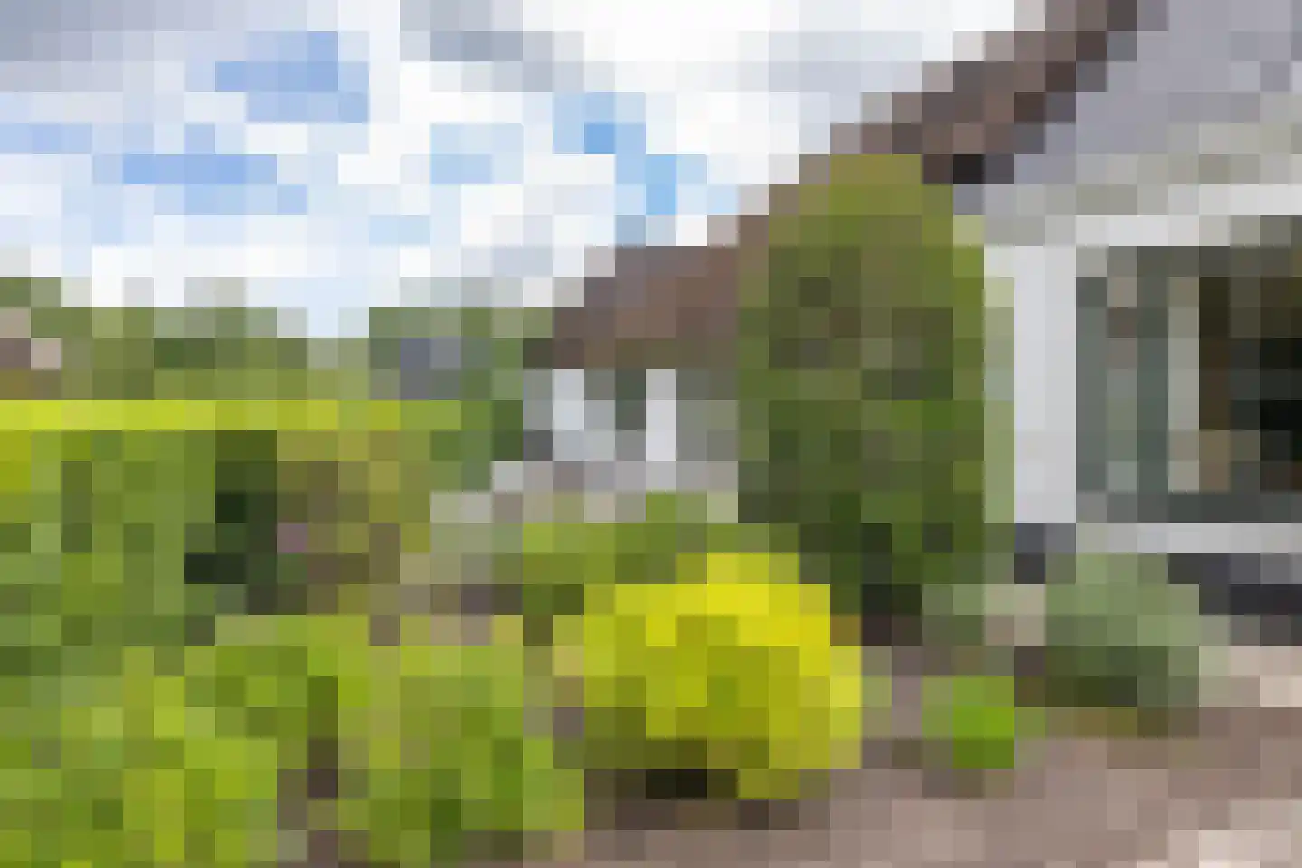 Zuidlaarderweg 15 Tynaarlo thumbnail 7