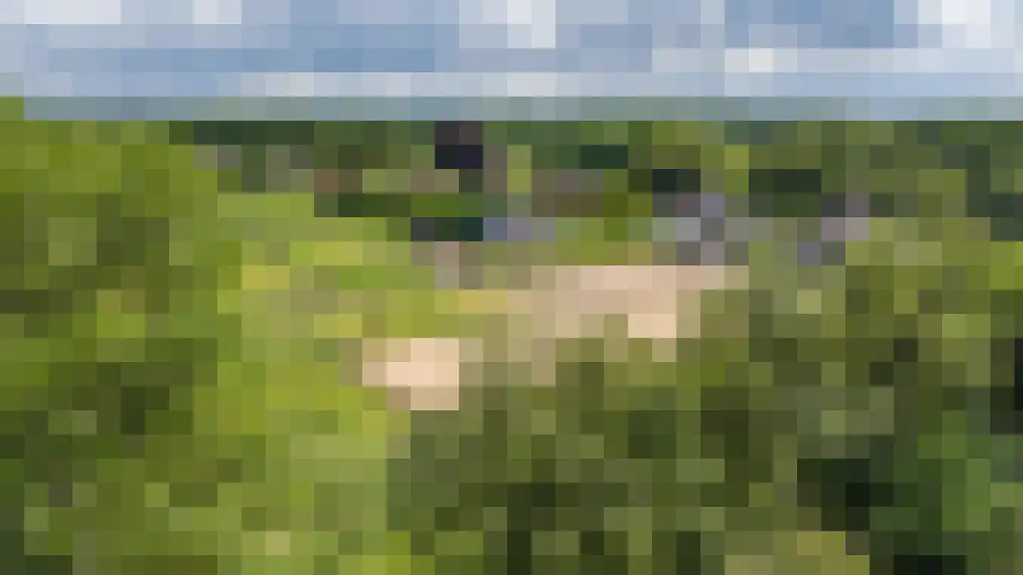 Zuidlaarderweg 15 Tynaarlo thumbnail 73