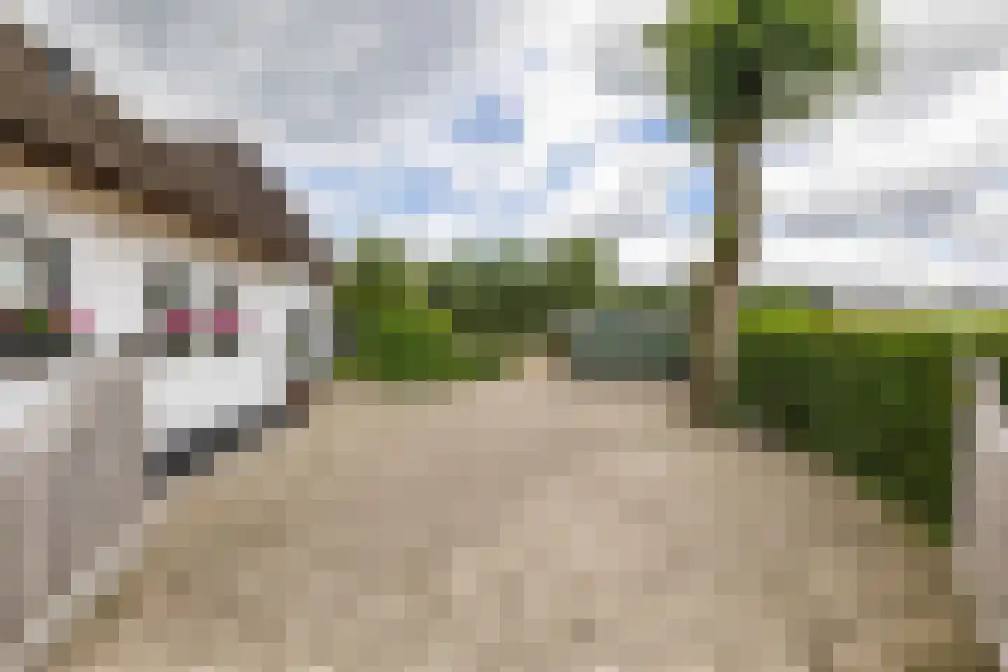 Zuidlaarderweg 15 Tynaarlo thumbnail 8