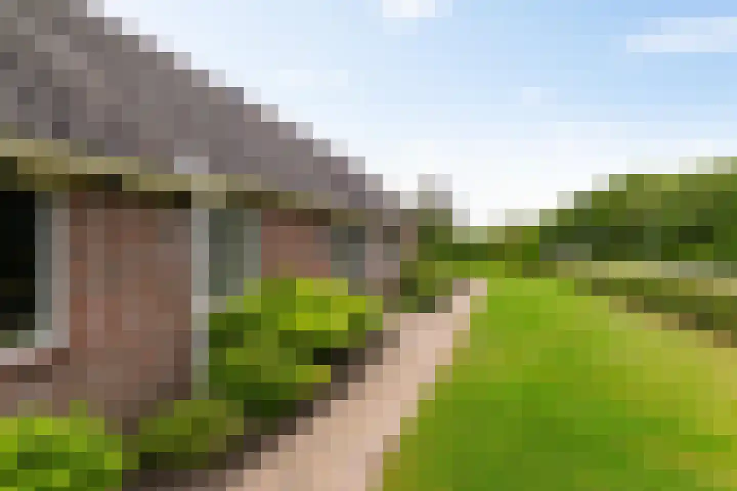 Zuidlaarderweg 22 Tynaarlo thumbnail 13