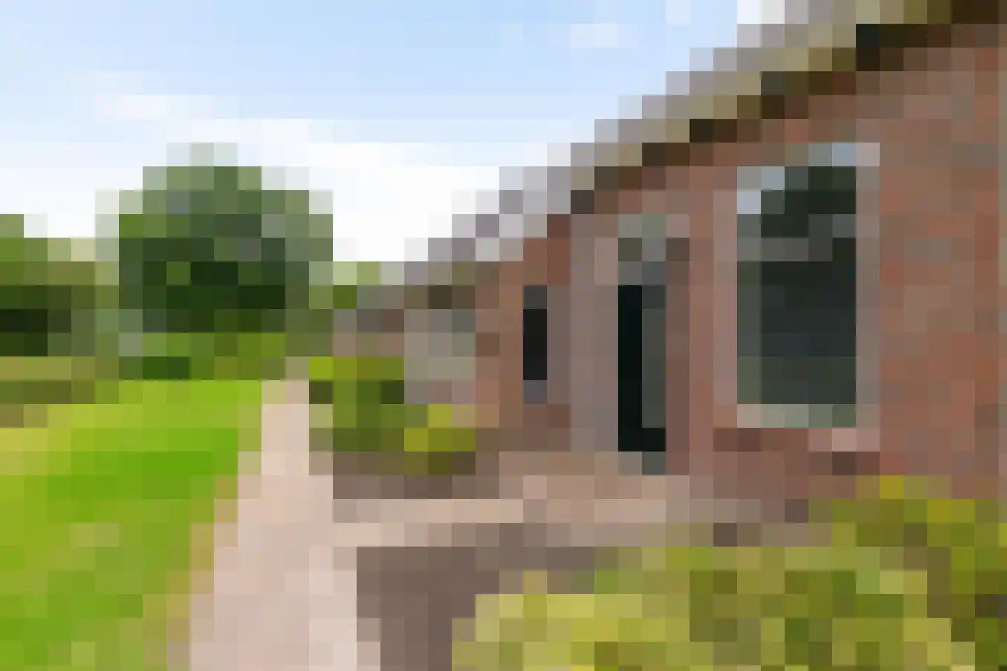 Zuidlaarderweg 22 Tynaarlo thumbnail 14