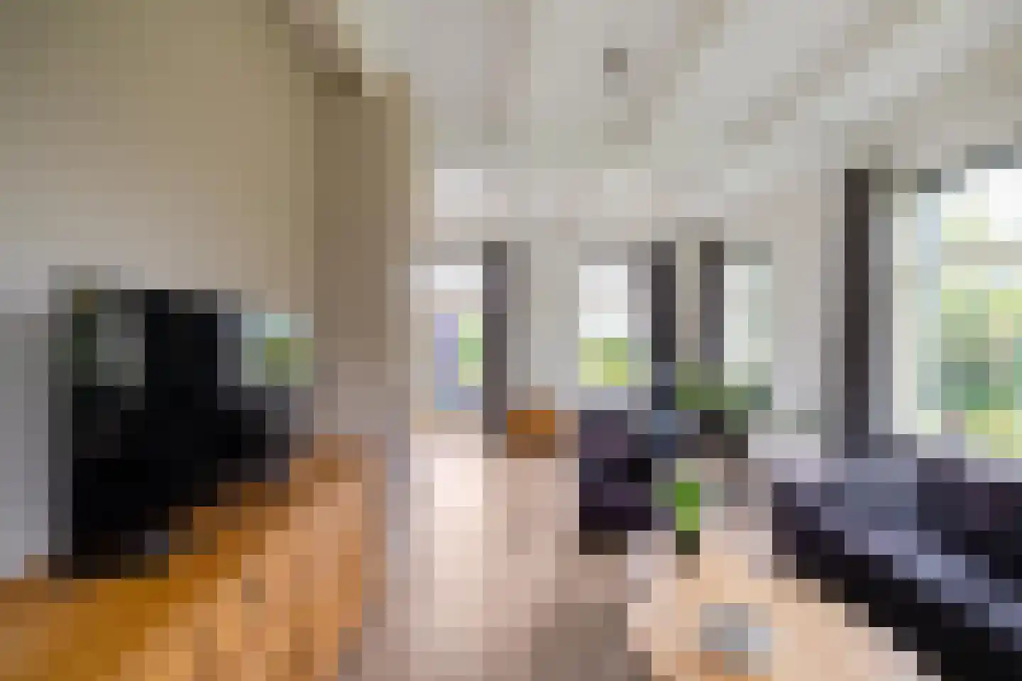 Zuidlaarderweg 22 Tynaarlo thumbnail 18