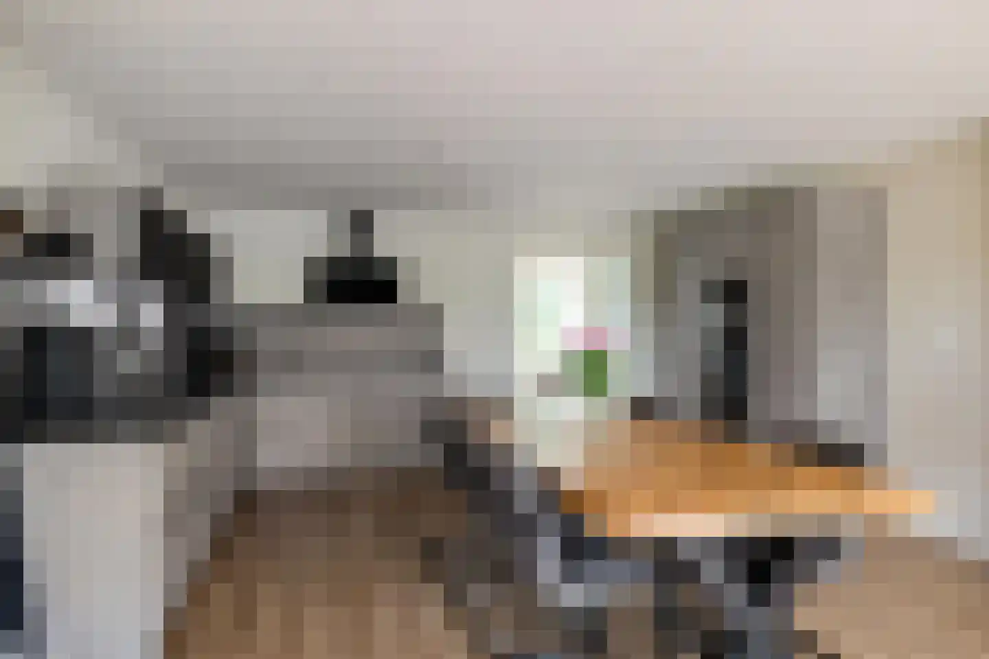 Zuidlaarderweg 22 Tynaarlo thumbnail 28
