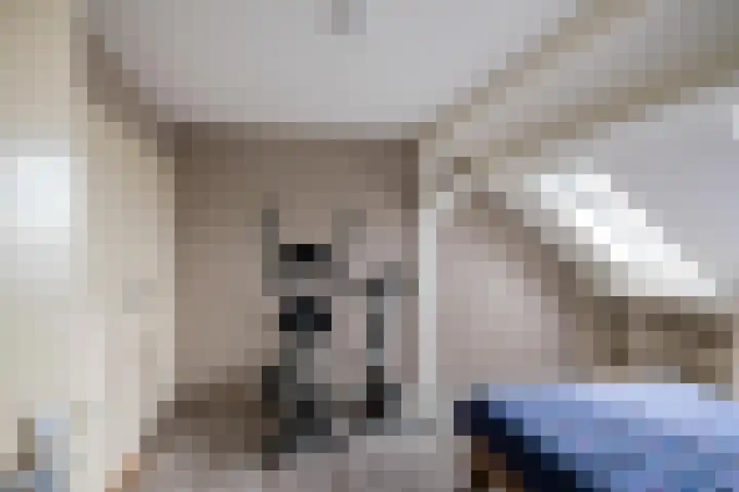 Zuidlaarderweg 22 Tynaarlo thumbnail 47