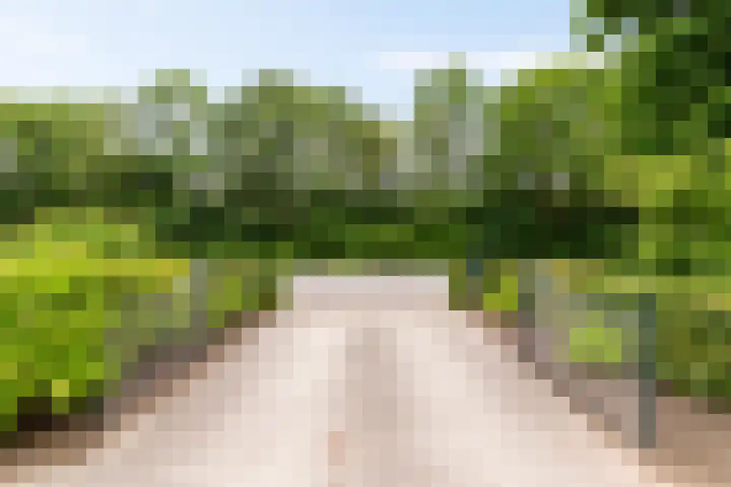 Zuidlaarderweg 22 Tynaarlo thumbnail 59