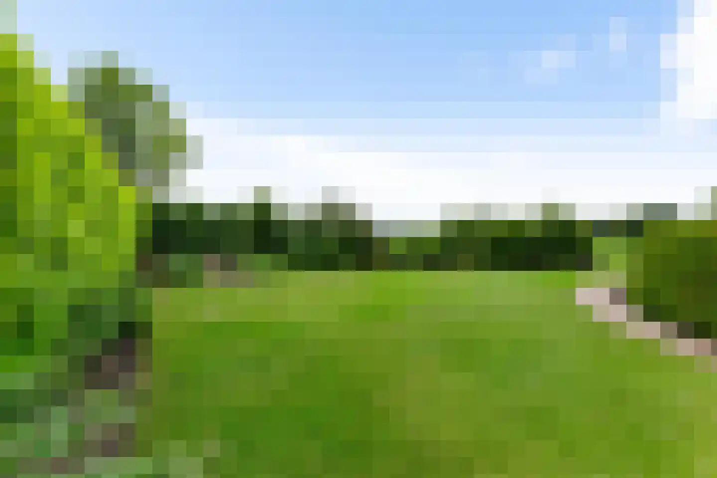Zuidlaarderweg 22 Tynaarlo thumbnail 64