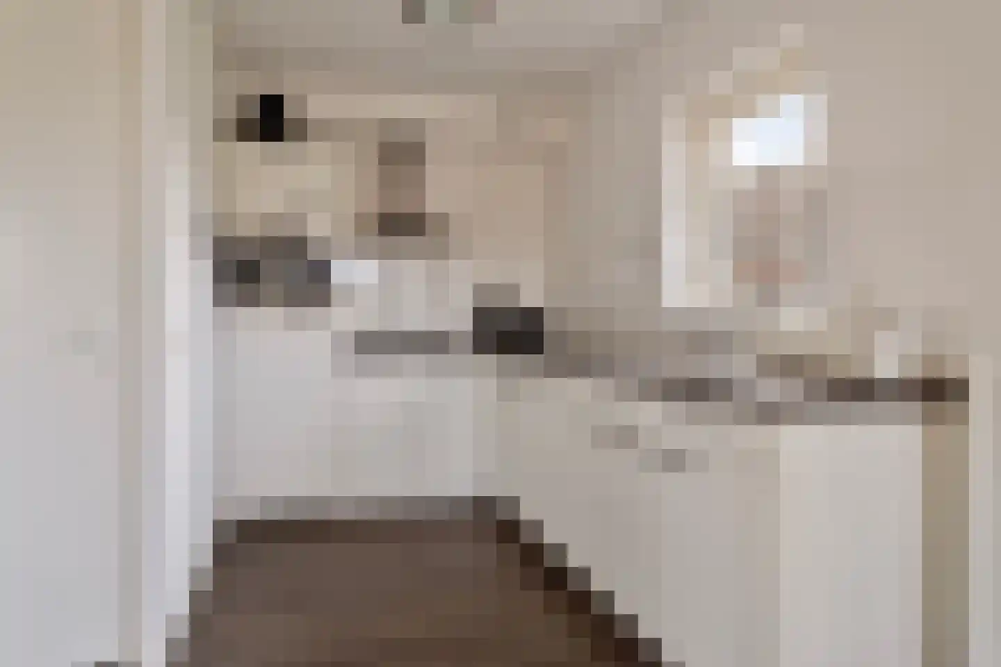 Zuidlaarderweg 37 111 Tynaarlo foto 3