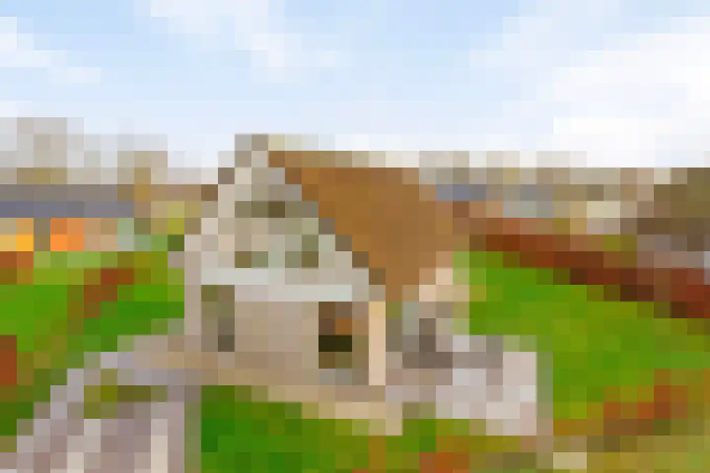 Zuidlaarderweg 37 111 Tynaarlo thumbnail 5