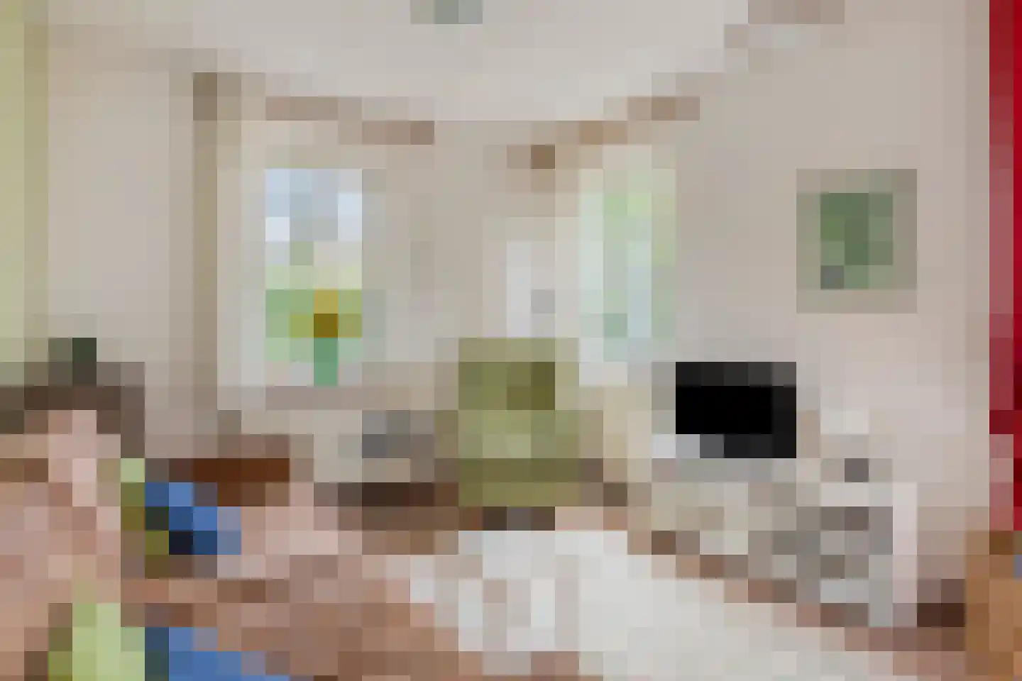 Zuidlaarderweg 37 V 10 Tynaarlo thumbnail 16