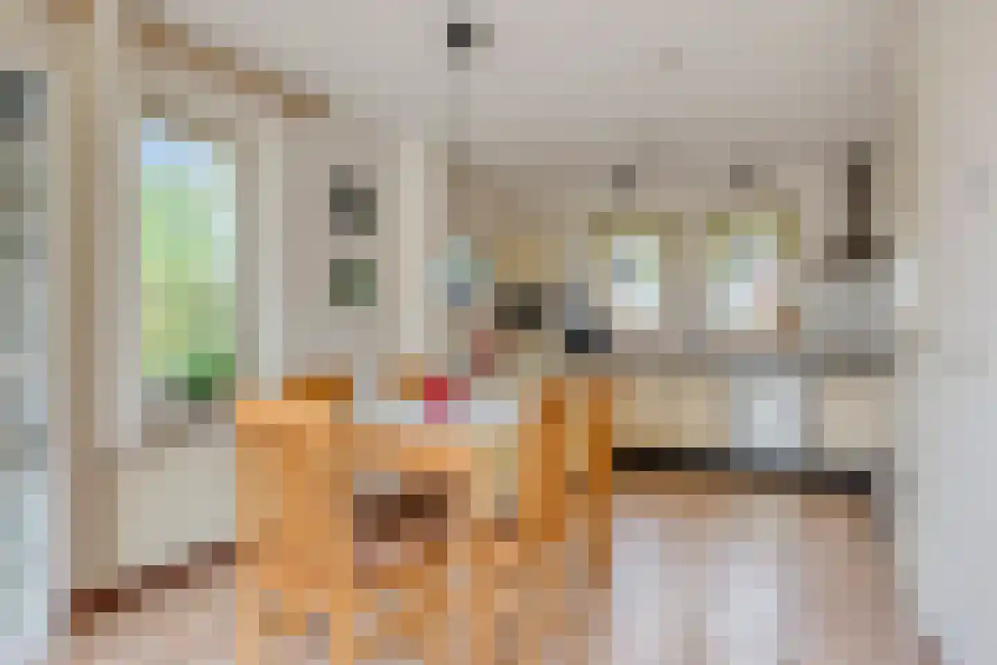 Zuidlaarderweg 37 V 10 Tynaarlo thumbnail 4