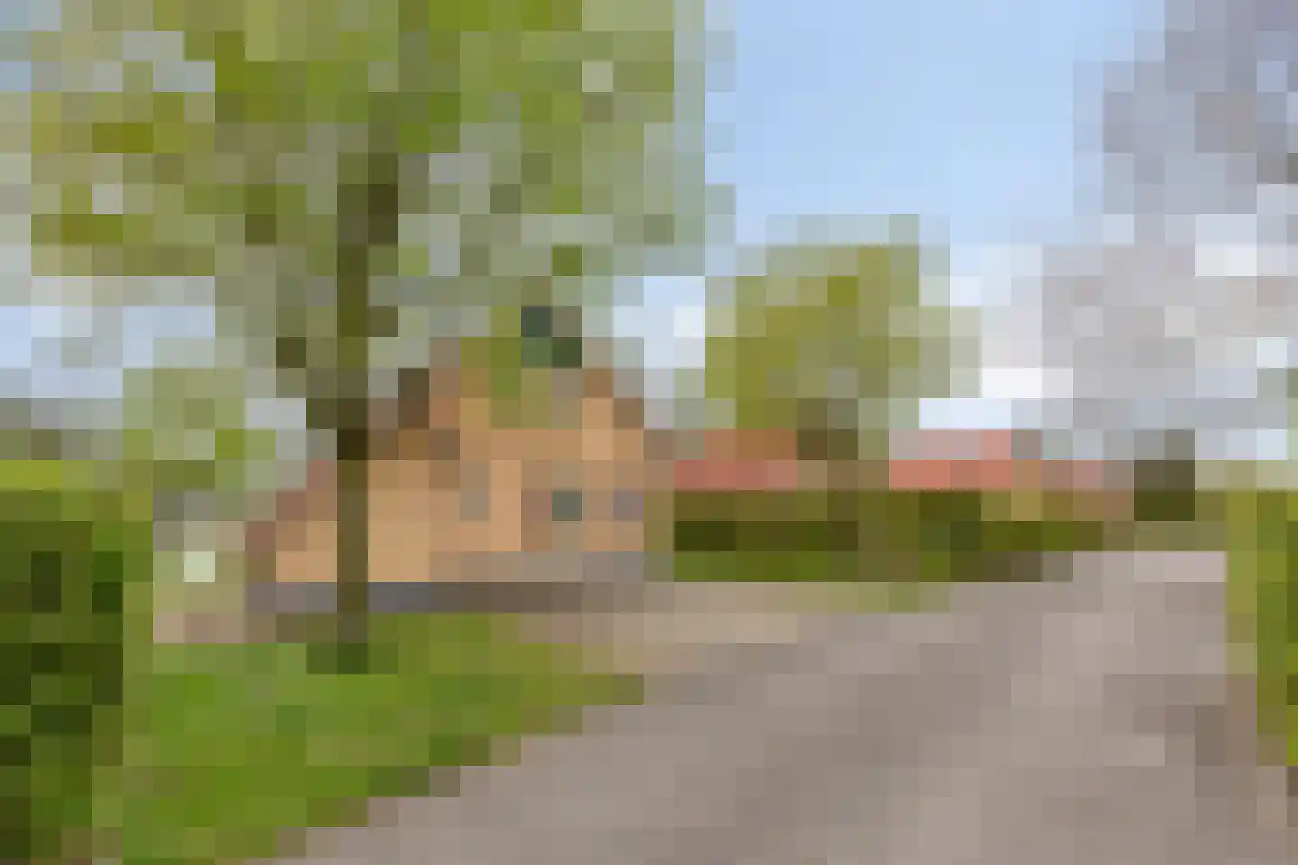 Zuidlaarderweg 37 V 10 Tynaarlo thumbnail 7