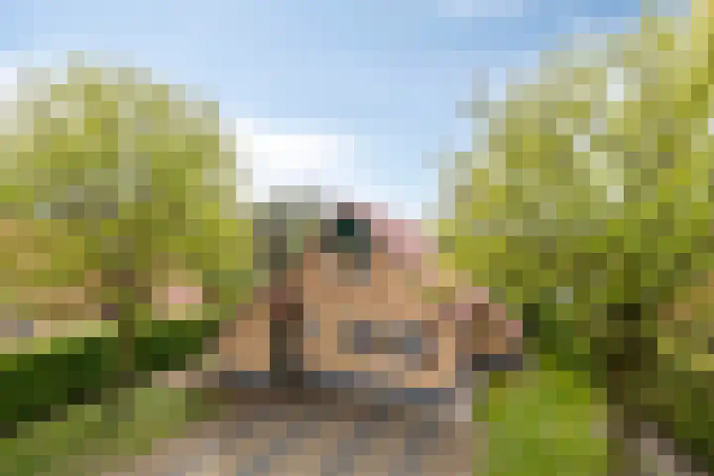 Zuidlaarderweg 37 V 10 Tynaarlo thumbnail 8