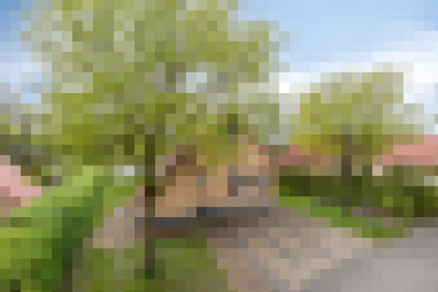 Zuidlaarderweg 37 V 10 Tynaarlo thumbnail 9