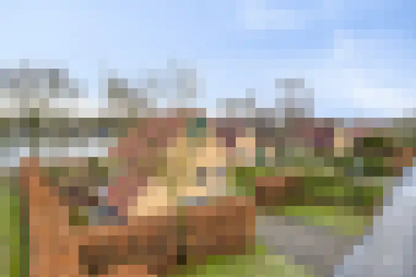 Zuidlaarderweg 37 V 15 Tynaarlo thumbnail 46