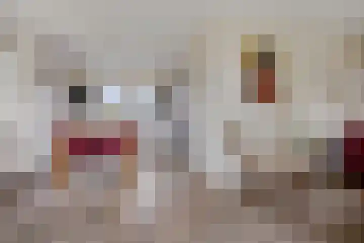 Zuidlaarderweg 37 V 28 Tynaarlo thumbnail 11