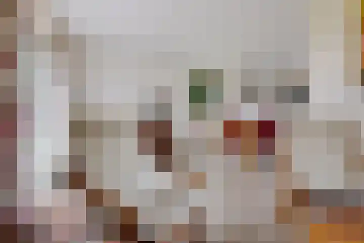 Zuidlaarderweg 37 V 28 Tynaarlo thumbnail 13