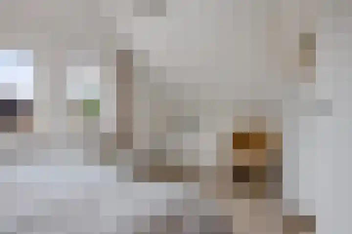 Zuidlaarderweg 37 V 28 Tynaarlo thumbnail 23