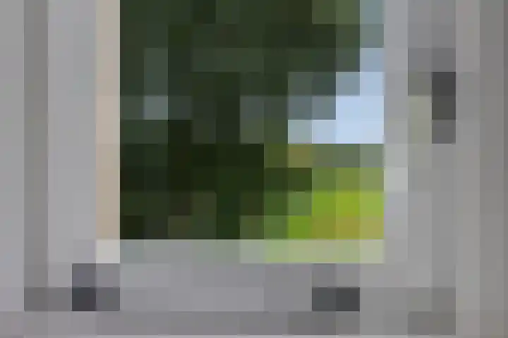 Zuidlaarderweg 37 V 28 Tynaarlo thumbnail 29