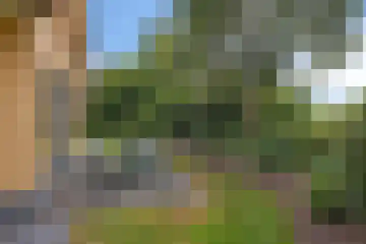 Zuidlaarderweg 37 V 28 Tynaarlo thumbnail 32