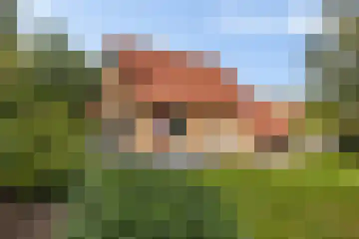 Zuidlaarderweg 37 V 28 Tynaarlo thumbnail 33