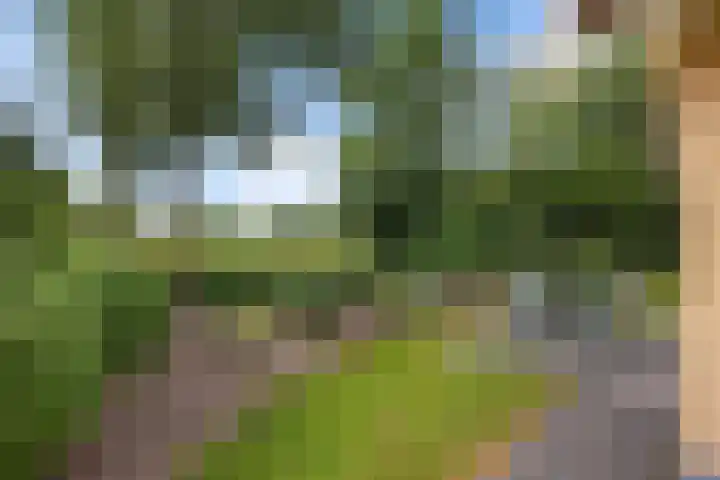 Zuidlaarderweg 37 V 28 Tynaarlo thumbnail 35