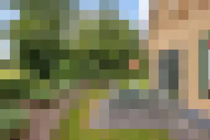 Zuidlaarderweg 37 V 28 Tynaarlo thumbnail 36