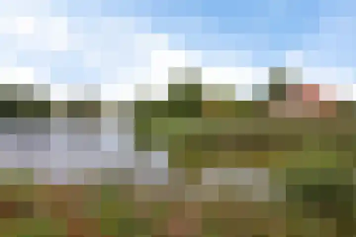 Zuidlaarderweg 37 V 28 Tynaarlo thumbnail 49