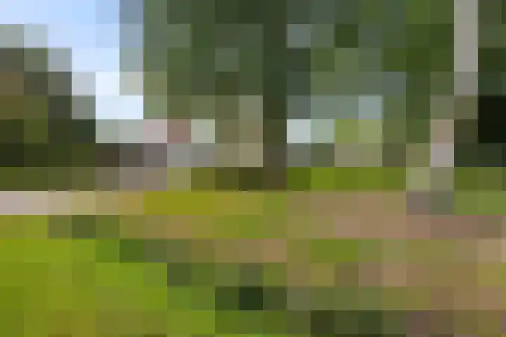 Zuidlaarderweg 37 V 28 Tynaarlo thumbnail 51