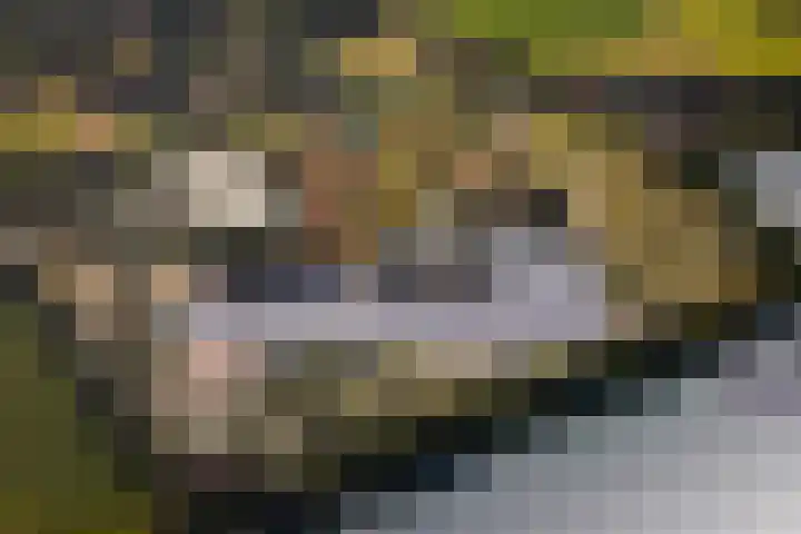 Zuidlaarderweg 37 V 28 Tynaarlo thumbnail 52