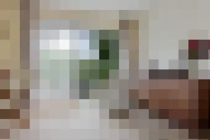 Zuidlaarderweg 37 V 28 Tynaarlo thumbnail 9