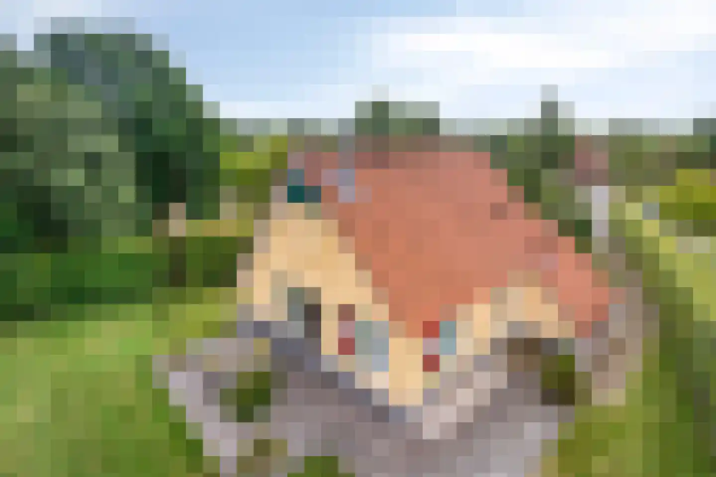 Zuidlaarderweg 37 V 44 Tynaarlo thumbnail 36