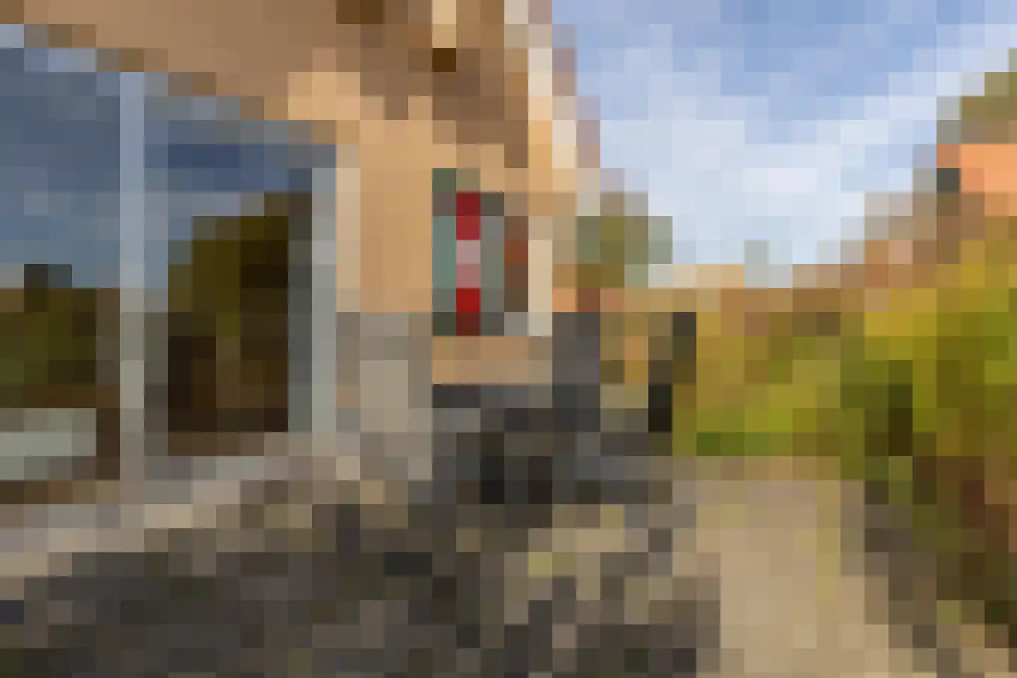 Zuidlaarderweg 37 V 59 Tynaarlo thumbnail 35