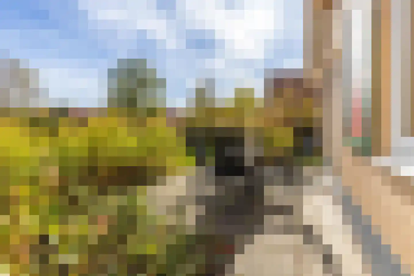 Zuidlaarderweg 37 V 59 Tynaarlo thumbnail 36