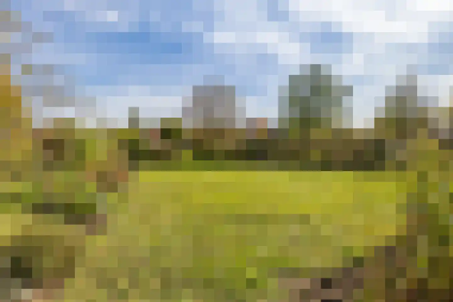Zuidlaarderweg 37 V 59 Tynaarlo thumbnail 38
