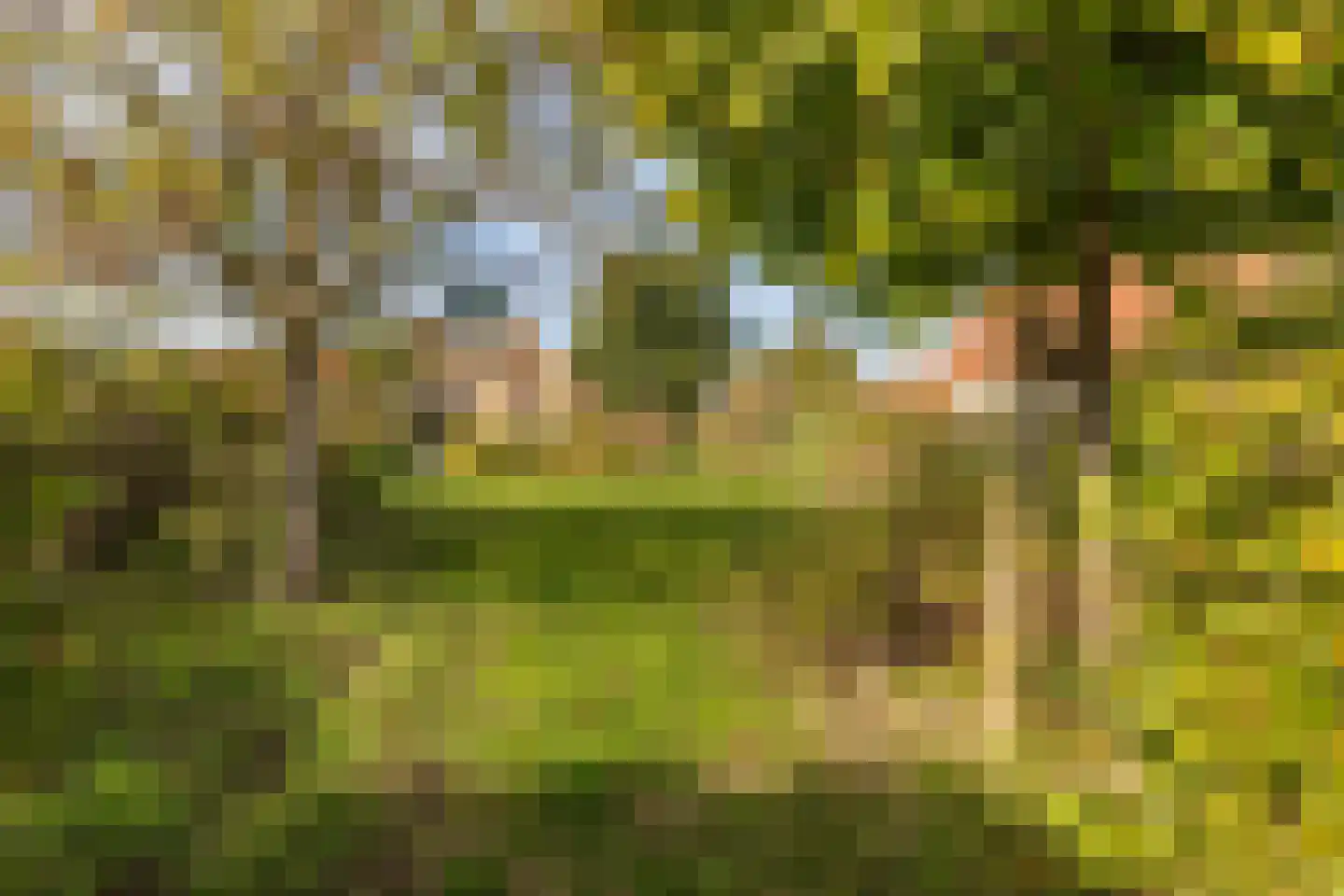 Zuidlaarderweg 37 V 59 Tynaarlo thumbnail 40