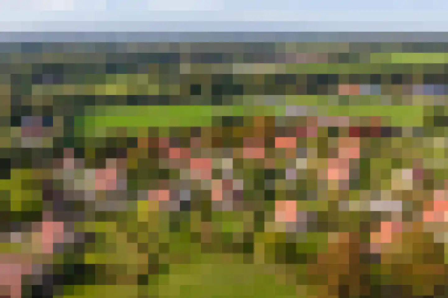 Zuidlaarderweg 37 V 59 Tynaarlo thumbnail 42