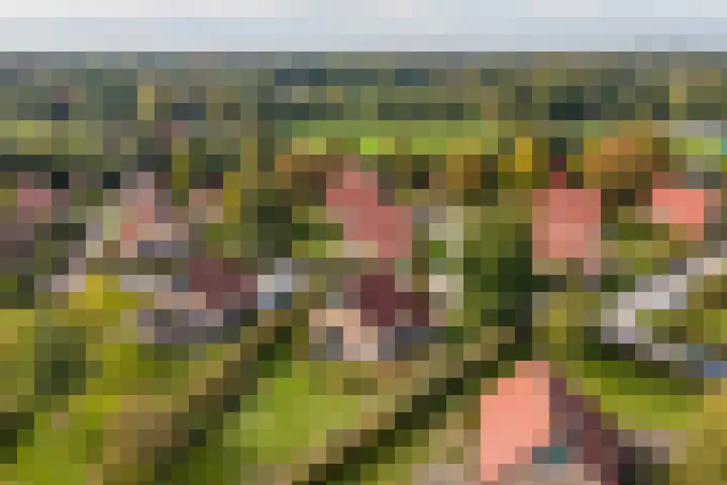 Zuidlaarderweg 37 V 59 Tynaarlo thumbnail 43