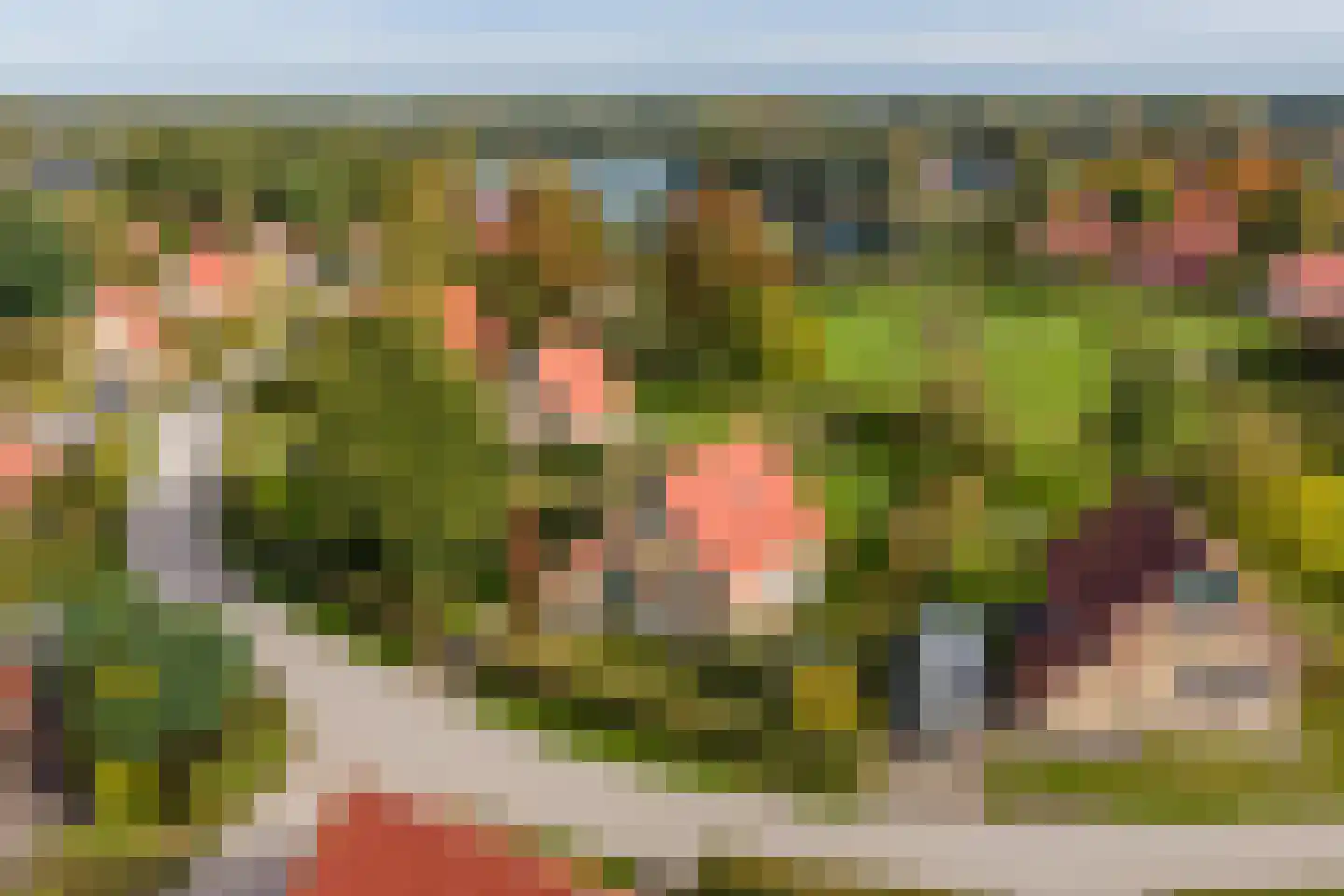 Zuidlaarderweg 37 V 59 Tynaarlo thumbnail 6